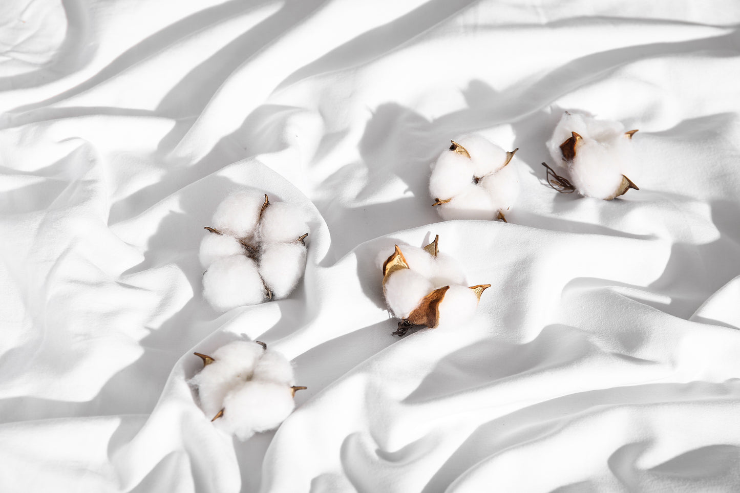 Organic Mattress Topper - Organic Wool