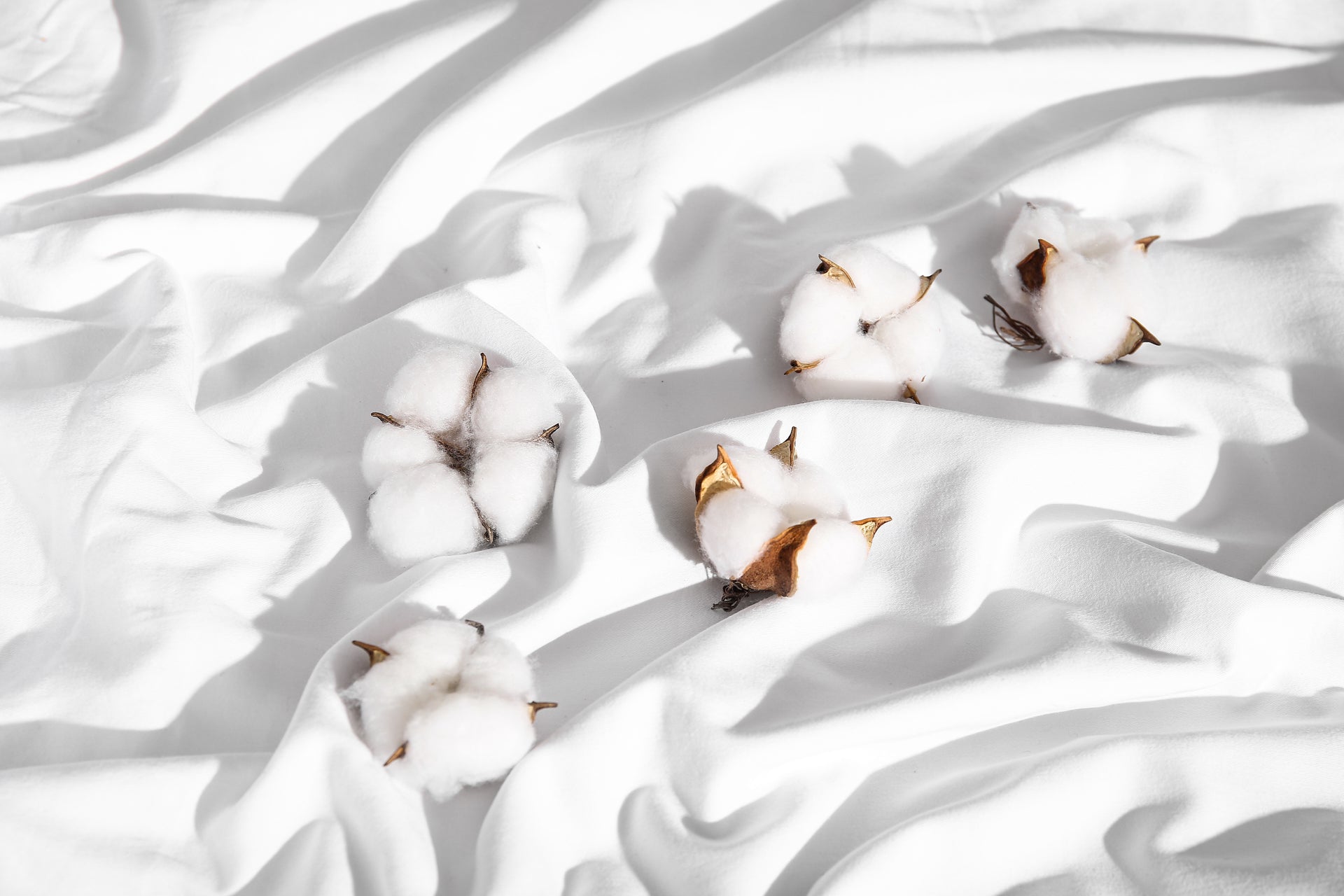 Complete Organic Sheet Set - A New Way To Sleep -  100% organic cotton