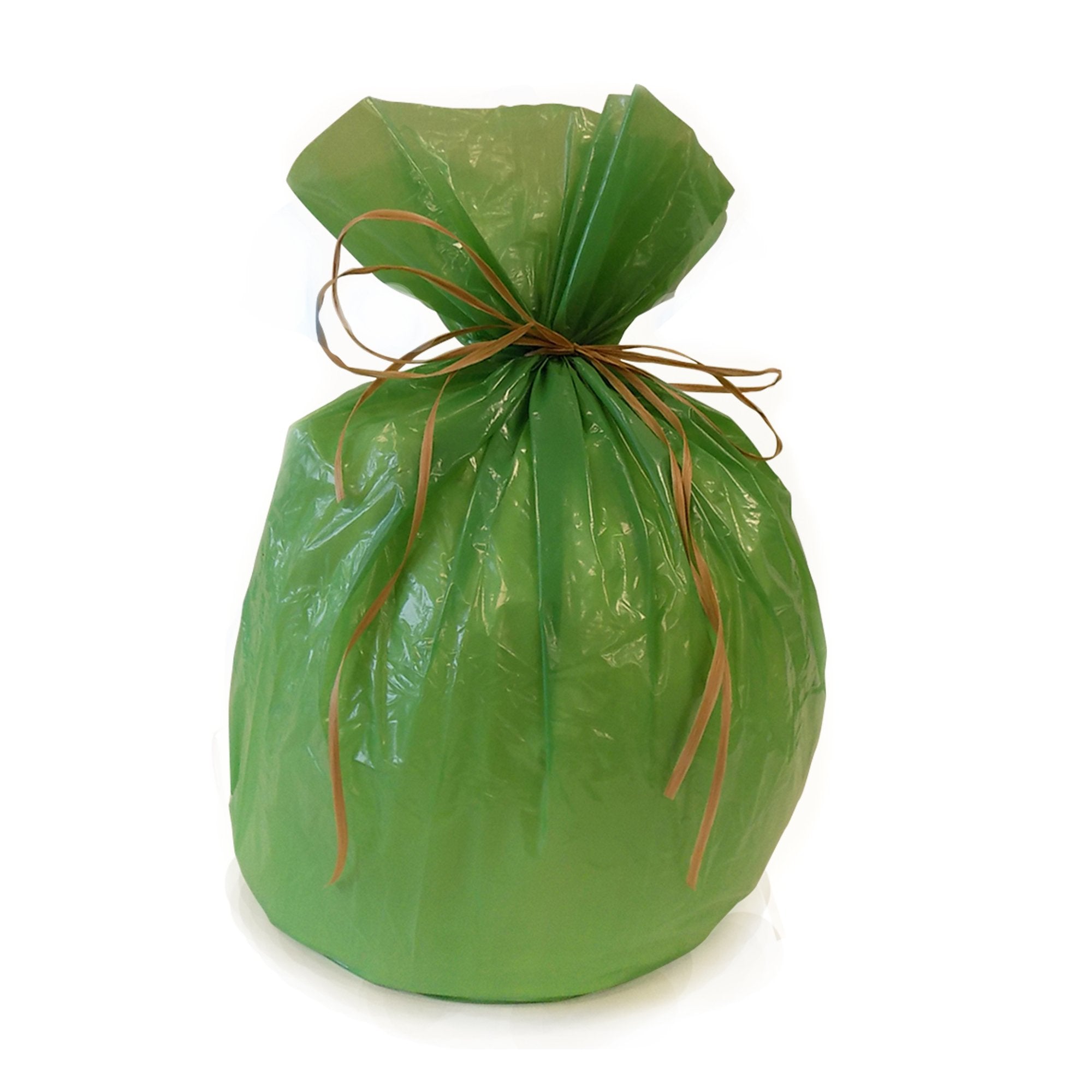 A green Santa's Present Bag